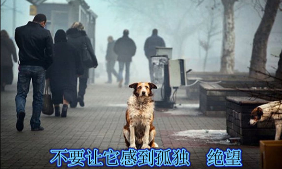 长治长治爱影圈微博微信转发案例